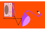 FlamingoRadio2