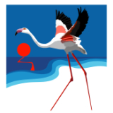 Flamingo Sun 2.