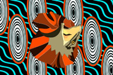 Frilled Neck Lizard 4