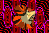Frilled Neck Lizard 7
