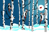 Full Moon Over Birch Forest.