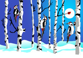 Full Moon Over Birch Forest 2.