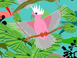GalahParrotGliders3