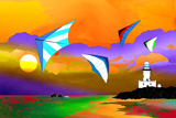 Gliding The Bay
