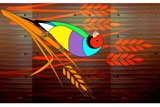 GouldianFinch2