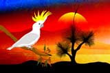 GrassTreeAndSulfurCrestedCockatoo2