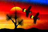GrassTreeCockatoos9