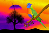 GrassTreeLorikeet