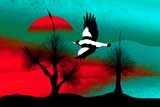 GrassTreeMagpie