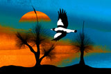 GrassTreeMagpie2