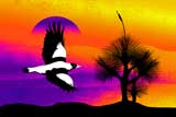 GrassTreeMagpie4