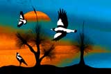GrassTreeMagpies8