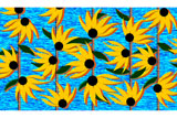 JapaneseSunflowers3