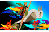 KookaburraSits6