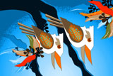 KookaburraSunrise10