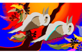 KookaburraSunrise5