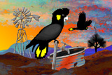 Land Of Drought Cocky2