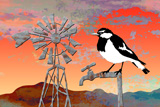 Land Of Drought PeeWee