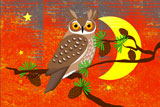 LongEaredOwl3