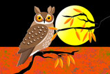LongEaredOwl7