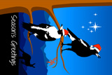 Magpie Christmas 2018 D