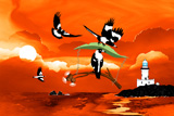 Magpie Gliders Of Byron