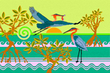 Mangroves 9B