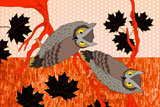 NightOwls18