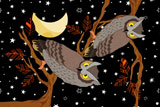 NightOwls2