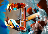No Fishing3