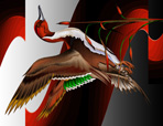 Northern Flight.
