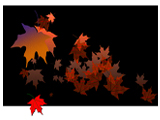 One Red Leaf