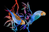 Opal Gum Budgies