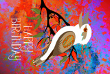 OpalKookaburraBirthday2