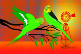 OutBackBudgies2
