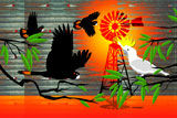 OutBackCockatoos