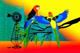OutBackRosellas