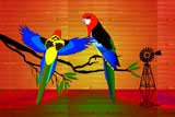 OutBackRosellas3
