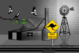 OutBackShack3