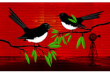 OutBackWagtails2