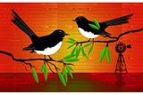 OutBackWagtails3