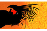 PalmCockatoo