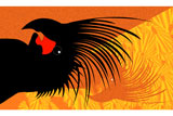 PalmCockatoo7