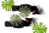 PalmCockatoos12