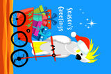 ParroCycle Greetings 4