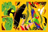 ParrotGlidersYellow