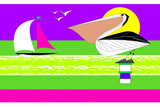 Pelican7