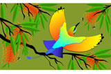 RainbowBeeEater4