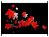 Red Maples