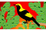 RegentBowerBird3
